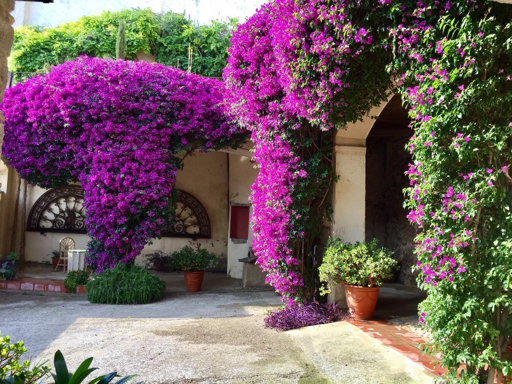 Apartaments Can Gibert Castellón de Ampurias Exterior foto